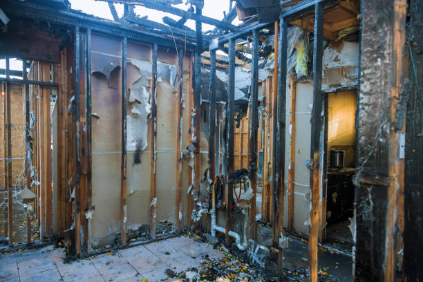Professional Structural Rebuild technician working in Baldwin, MD